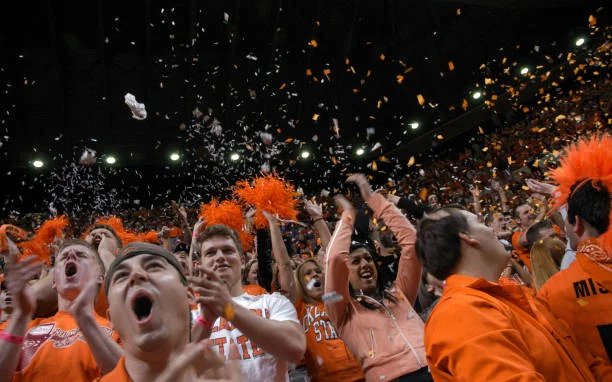 mk体育预测王球迷庆祝